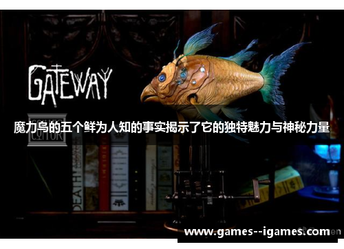 魔力鸟的五个鲜为人知的事实揭示了它的独特魅力与神秘力量